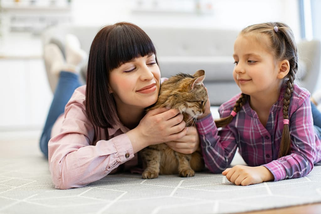 Mother and daughter bonding with cat at home